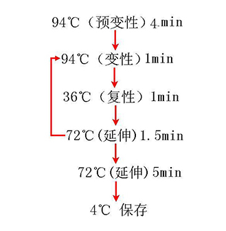 pp电子·(中国)官方网站