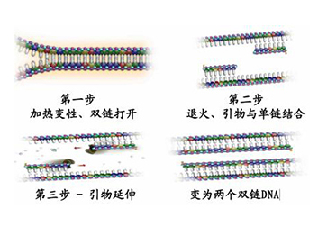 pp电子·(中国)官方网站