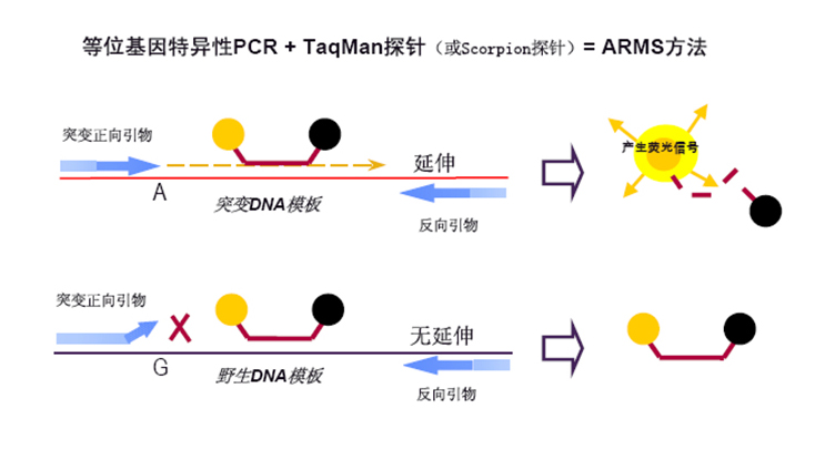 pp电子·(中国)官方网站